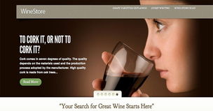 20個(gè)簡(jiǎn)約的電子商務(wù)網(wǎng)站設(shè)計(jì)